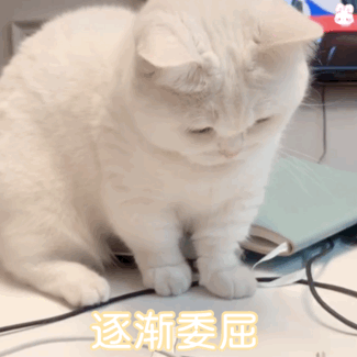 表情包