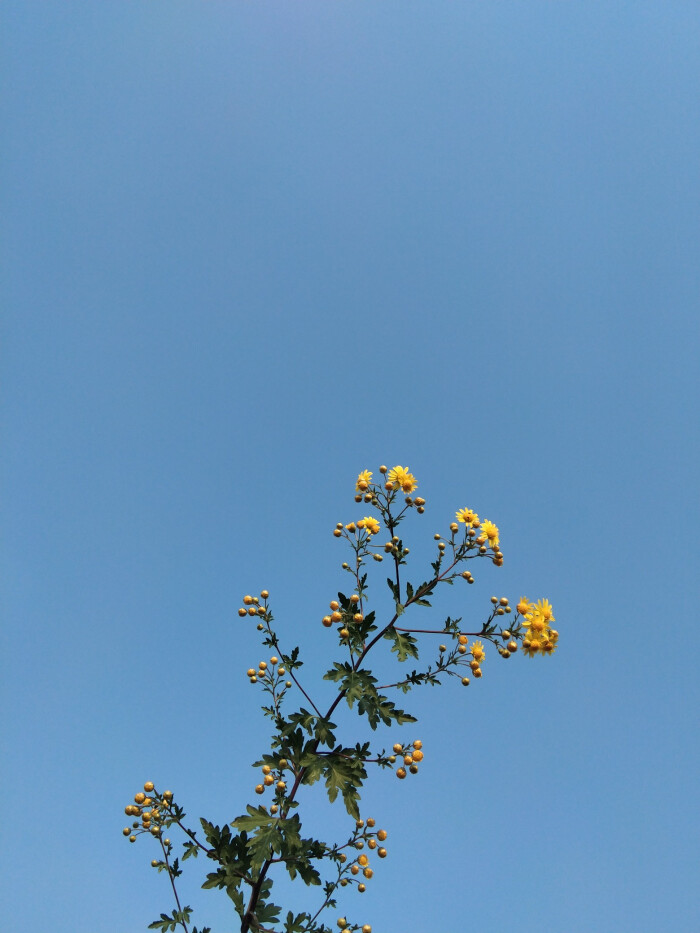 伴随好心情而来的是好运气
