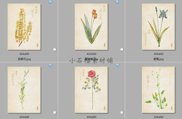 手绘水草本草中草药植物花卉图鉴说明书手册jpg设计图片jpg76