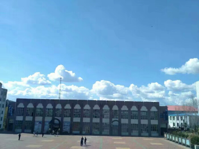 双鸭山市第三十一中学,16届9班
