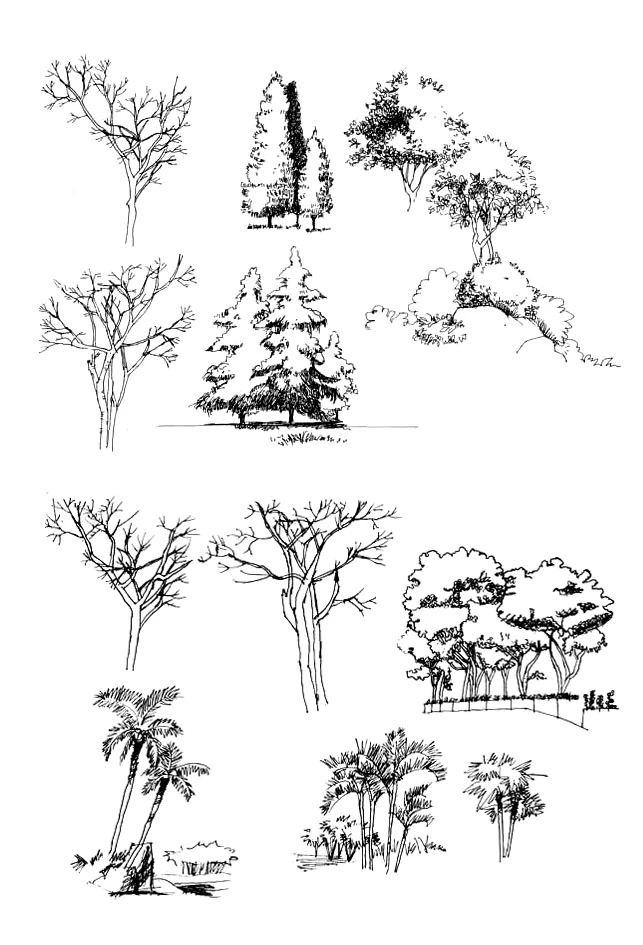 建筑快题树的画法图片