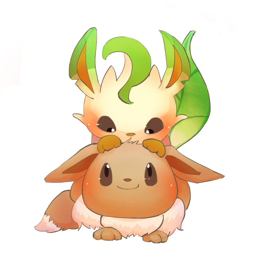 神奇宝贝伊布pokemon