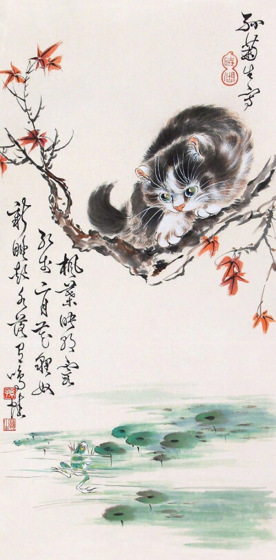 中国猫王胡晓鸿图片