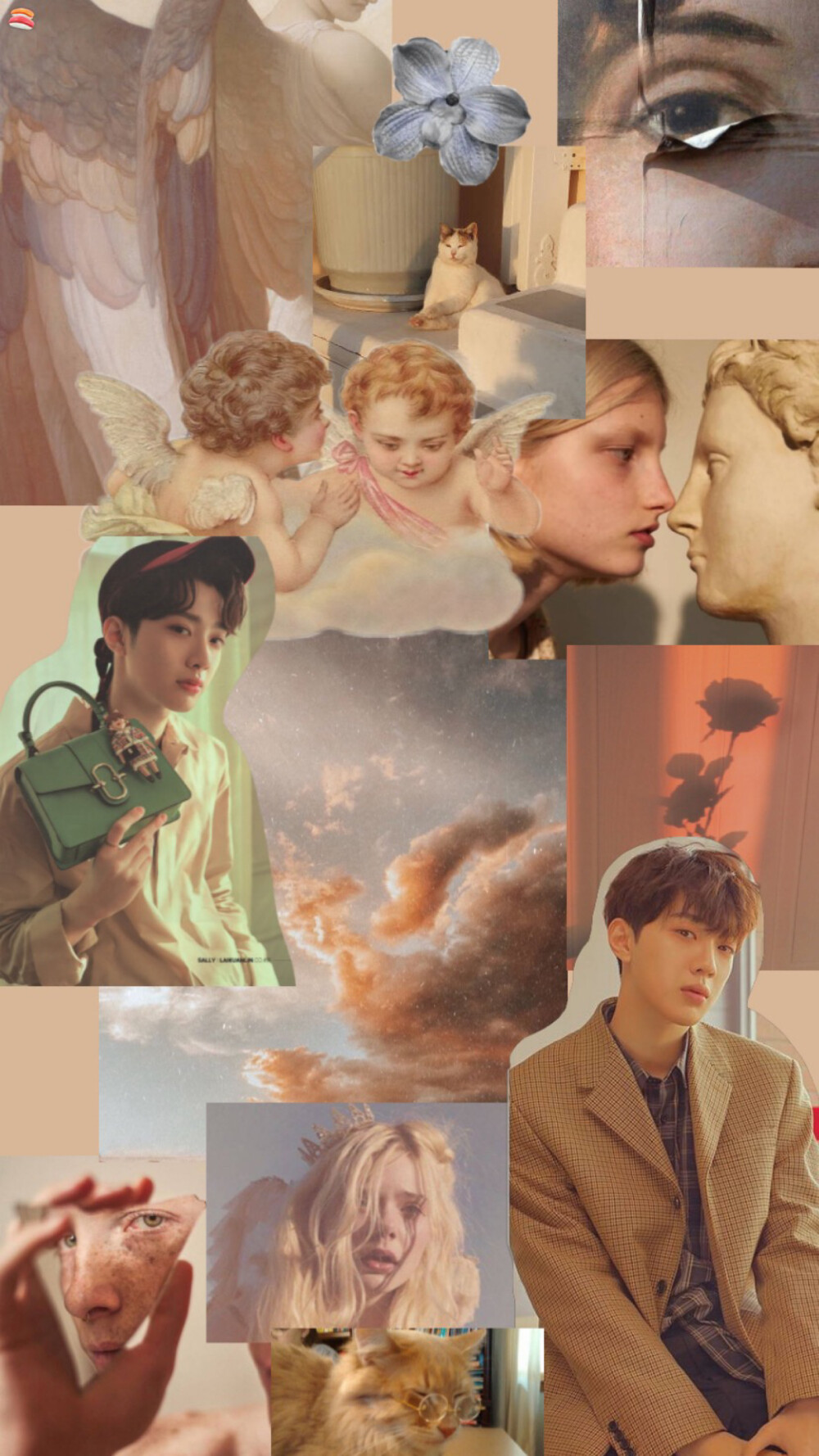 赖冠霖 拼贴壁纸