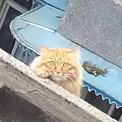 沙雕头像