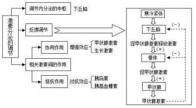 高中生物