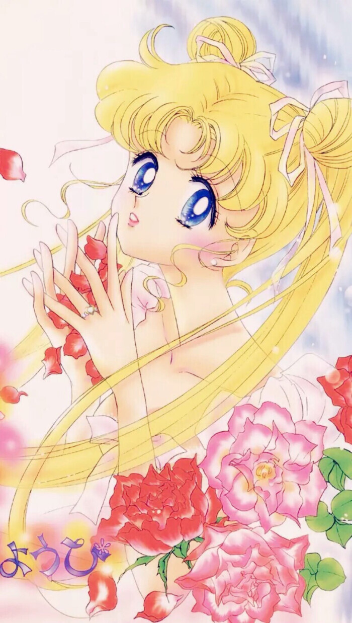 《美少女战士 セーラームーンr》