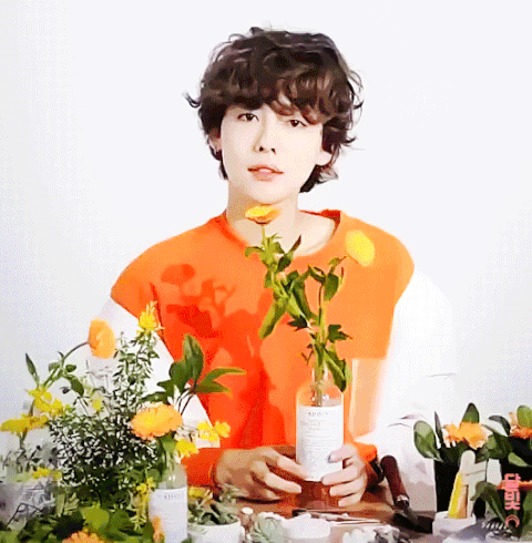 480_490gif 动态图 动图