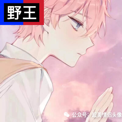 王者职业情侣头像(自制)