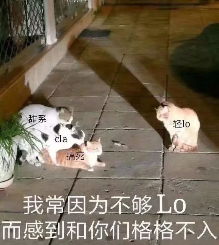 沙雕表情包