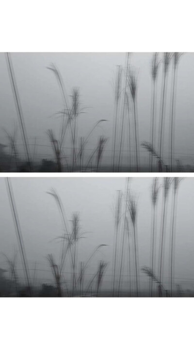 黑白qq空间壁纸