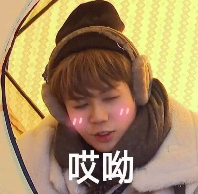 林彦俊表情包