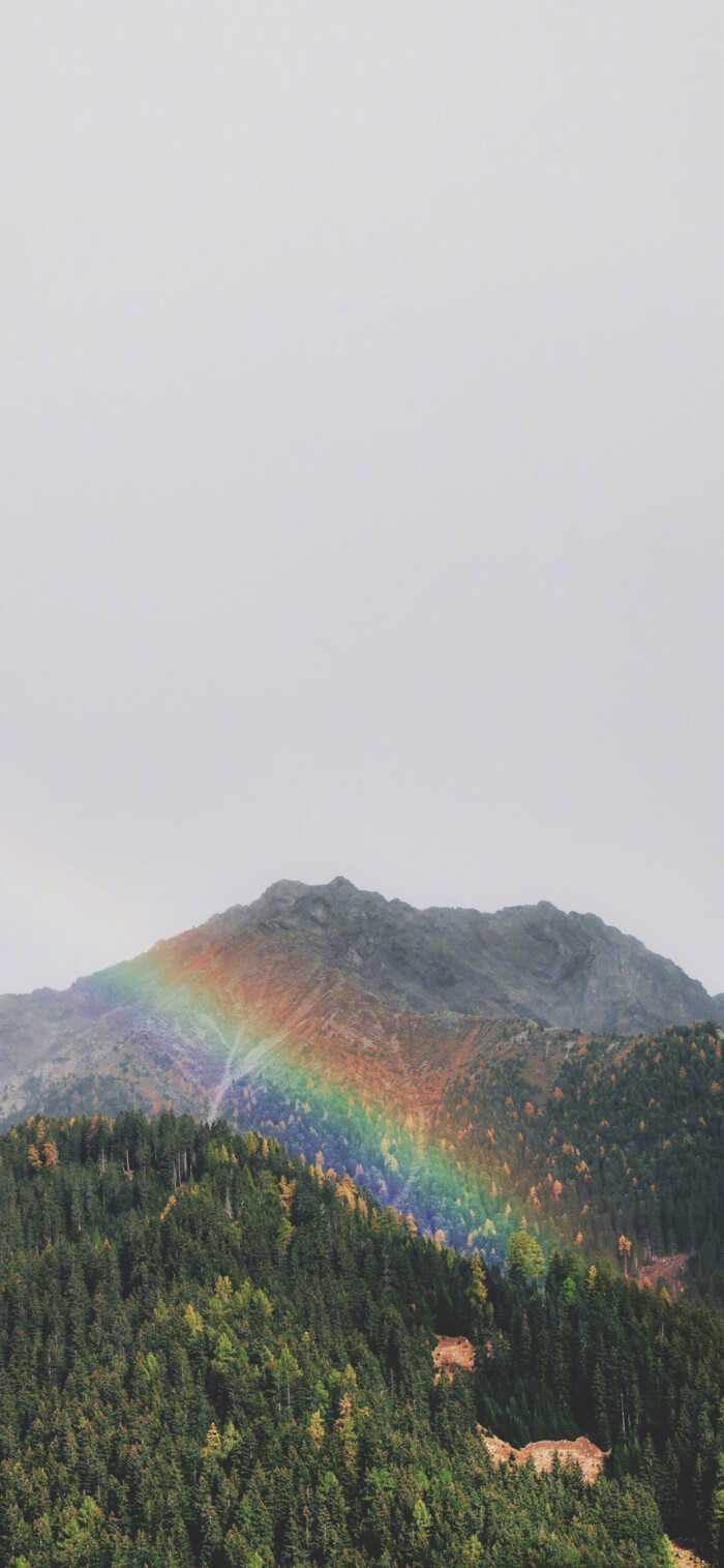 iphone x s r 11pro max 壁纸