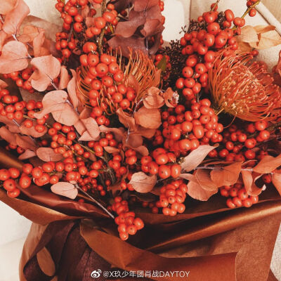 肖战小飞侠