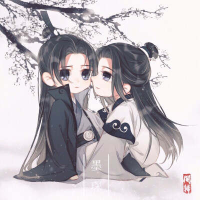 魔道祖师双道长图片