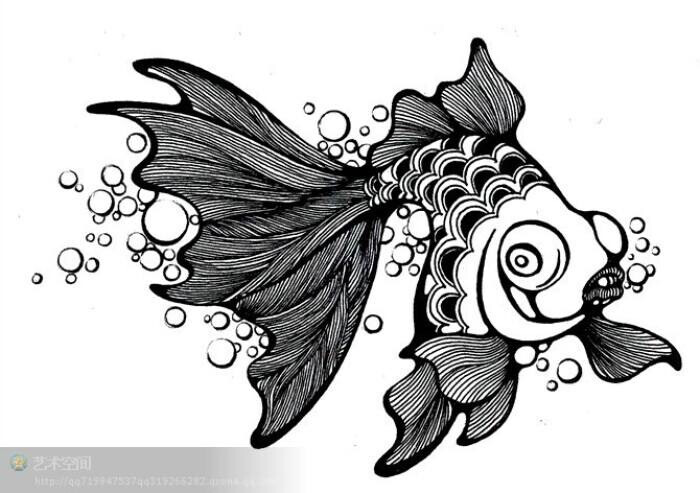 鱼黑白 线描 装饰