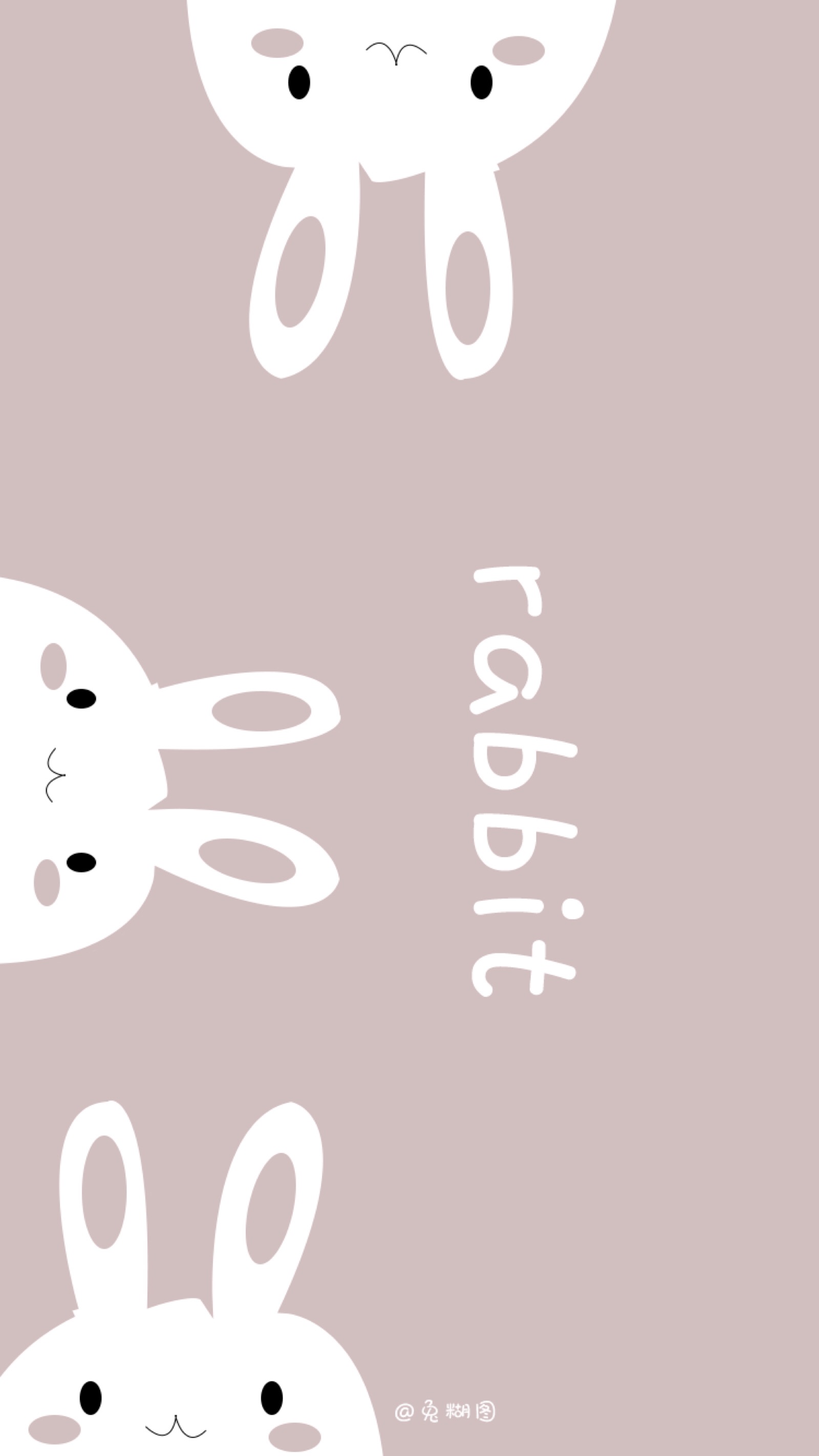 关注  组头 聊天背景 颜值 ins潮图 评论 收藏