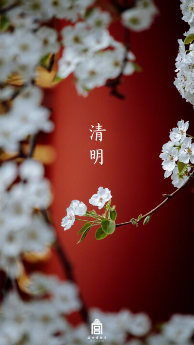 故宫 二十四节气