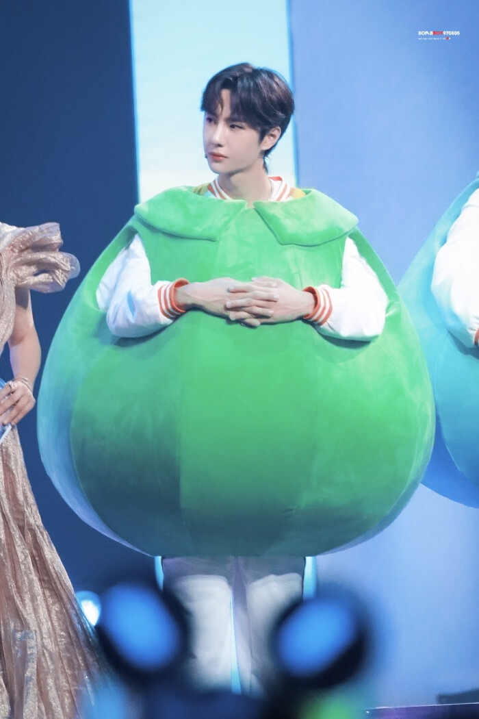 洛阳白牡丹,王甜甜,耶啵,王小博,蓝忘机,蓝湛,蓝二