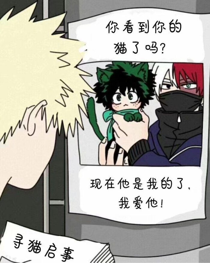 轰总你不要太过分