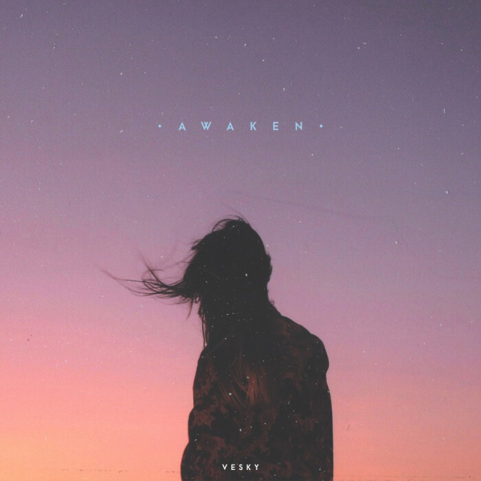 sleepless night - vesky