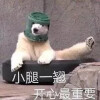 一本正经.