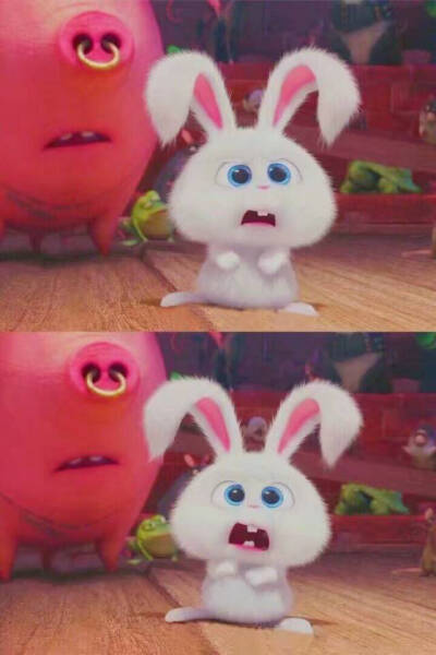 爱宠大机密黛西 - 堆糖,美图壁纸兴趣社区