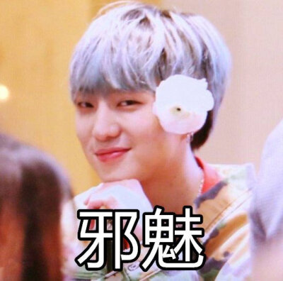 winner表情包