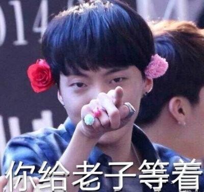 winner表情包