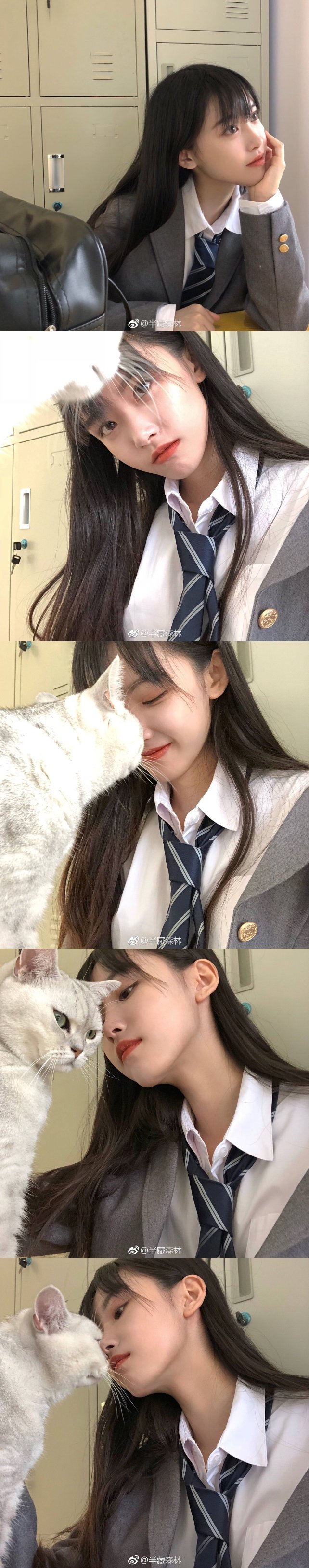 半藏森林 - 堆糖,美图壁纸兴趣社区