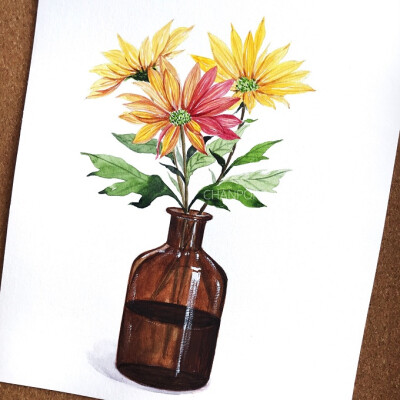 水彩 手绘 插画 绘画 植物 花卉 花艺 小清新