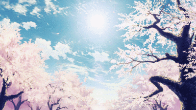 樱花温柔 