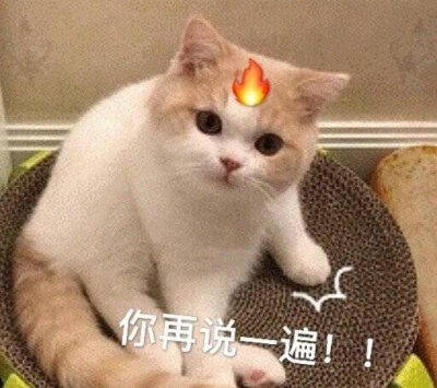 淡黄的长裙 蓬松的长发 就当是一场梦 醒了很久还是很感动 青你2/表情