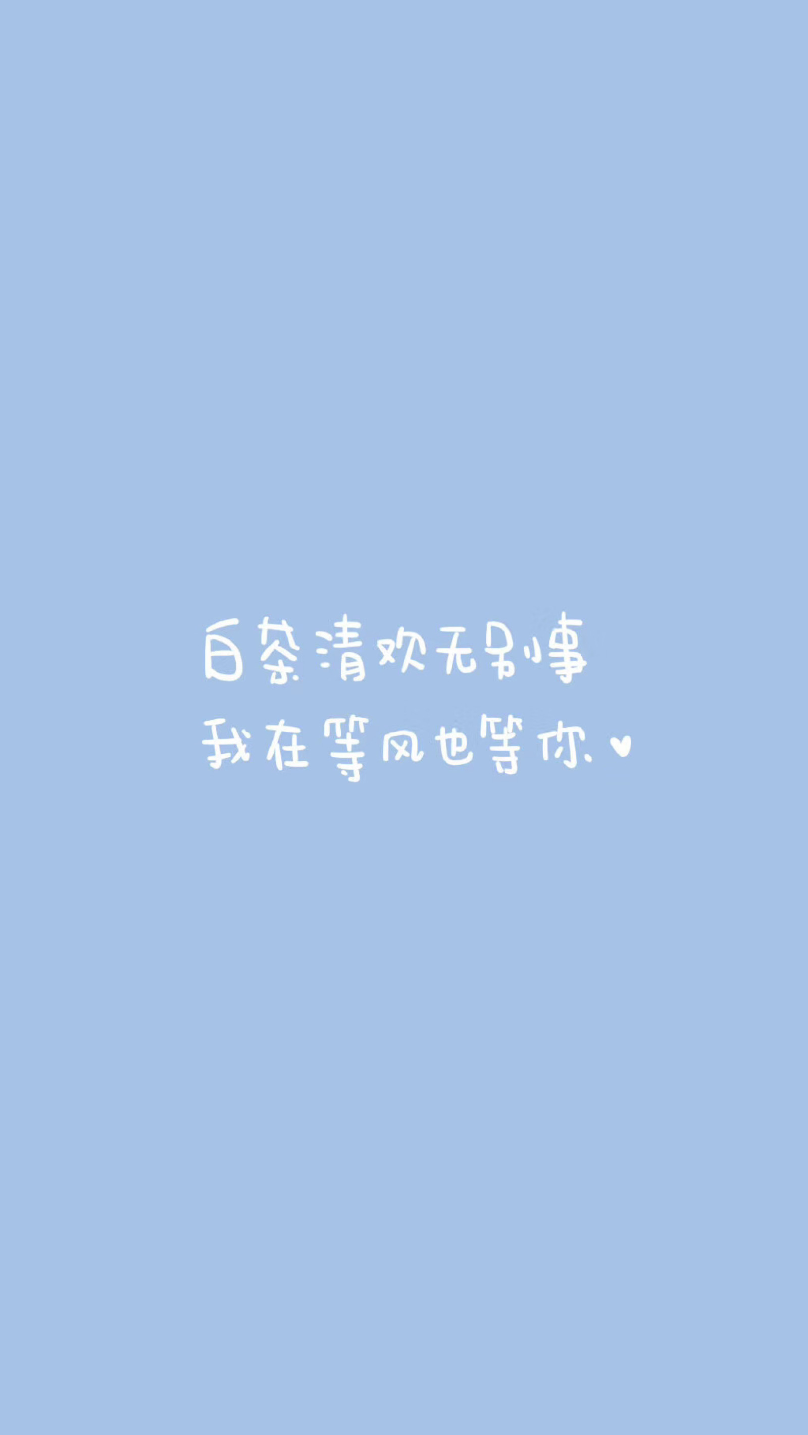 白茶清欢无别事 我在等风也等你