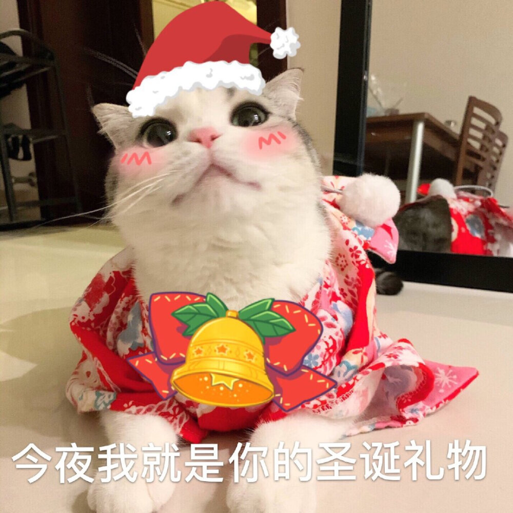 圣诞节表情包