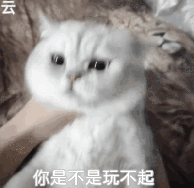 喵喵喵?
