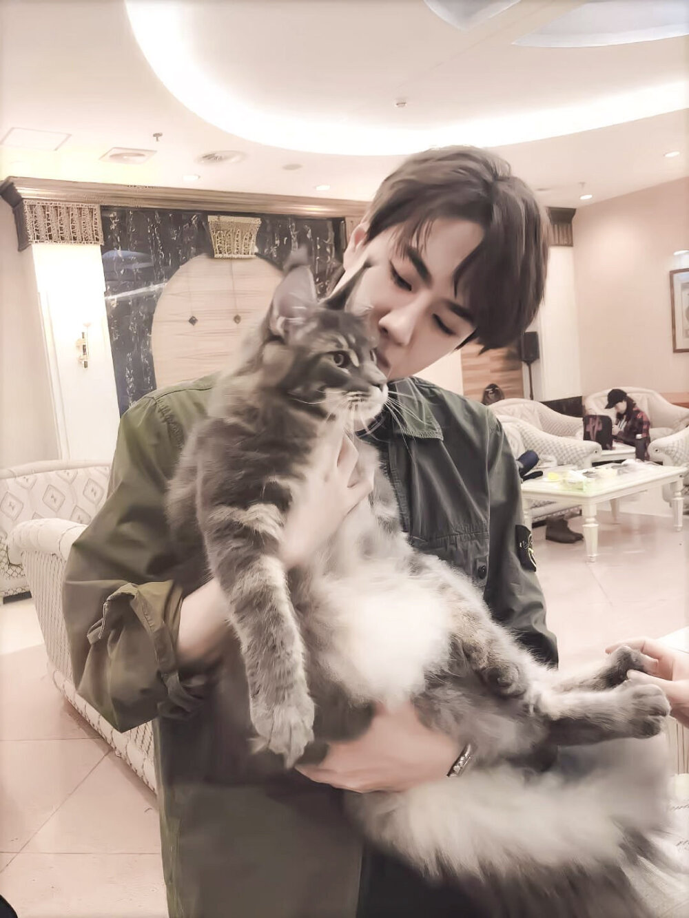 王一博抱猫猫咪图片