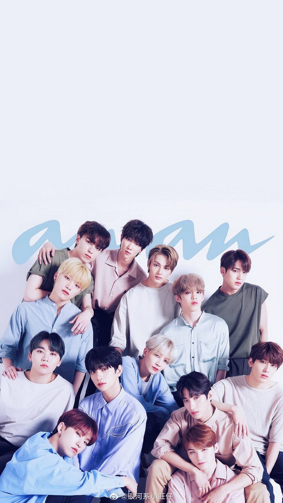 seventeen 崽崽们 