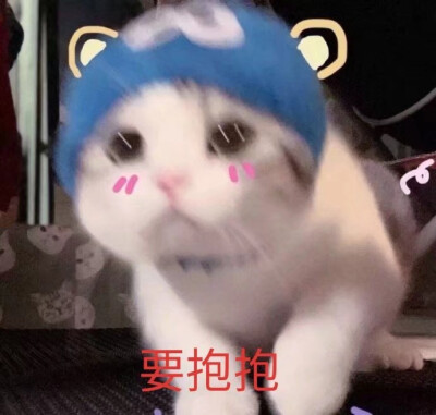 小可爱表情包
