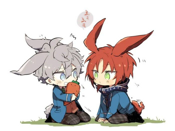 狮心组 