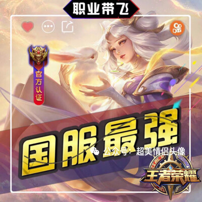 职业头像,王者云中君伽罗娜可露露小乔沈梦溪嫦娥