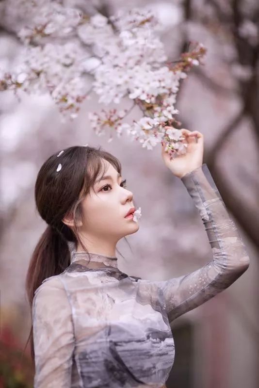 张紫宁 - 堆糖,美图壁纸兴趣社区