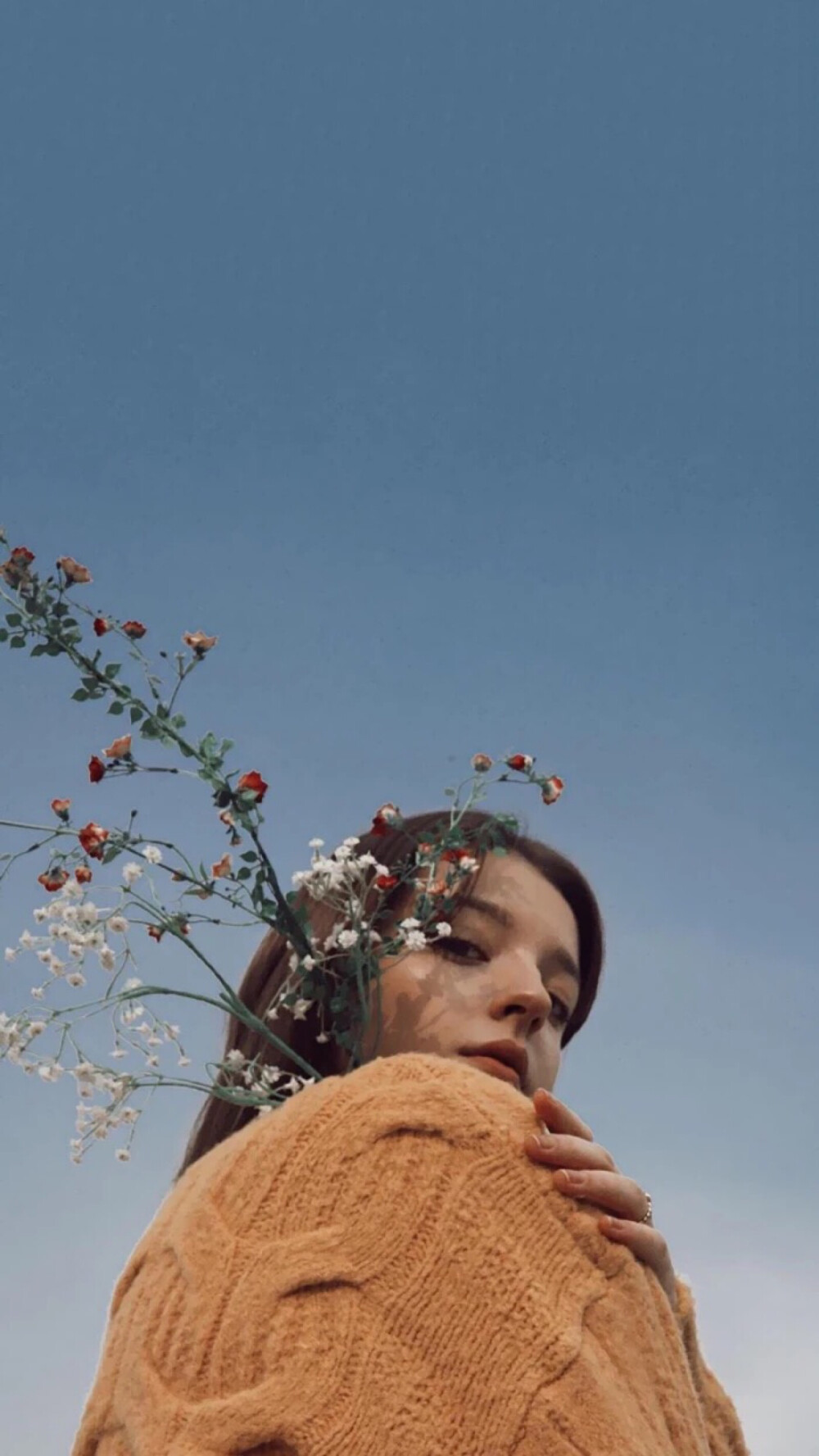 少女情怀总是诗欧美壁纸