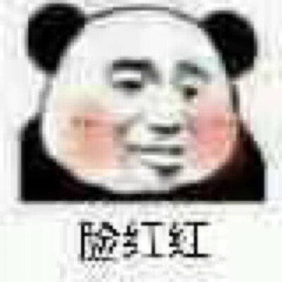 熊猫挠头 脸红图片