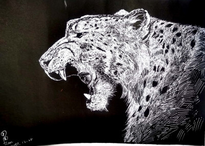 豹子的线描画图片