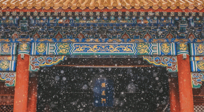 好想去看故宫的雪