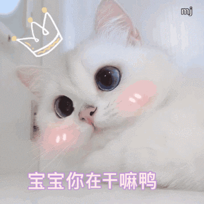 表情包