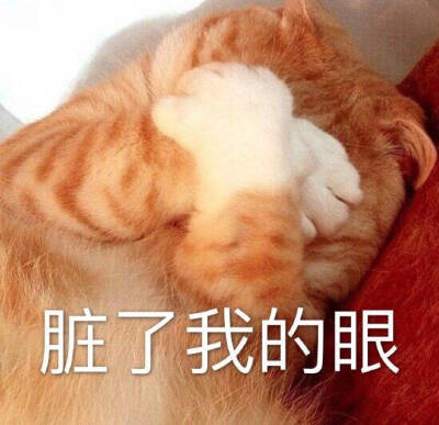 在我眼里你什么都不是