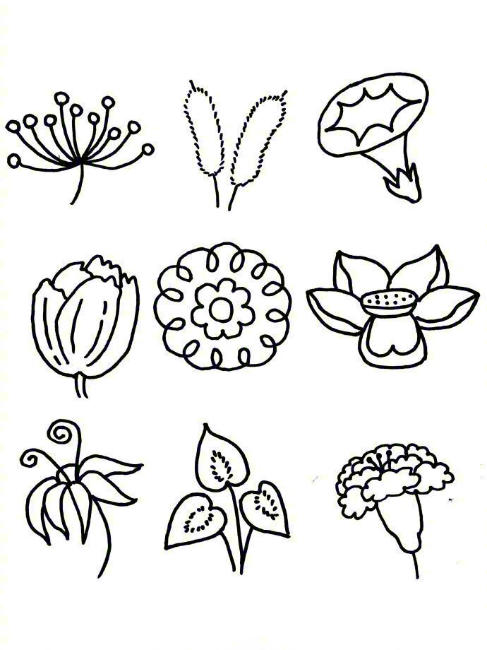 各种植物怎么画 花草图片