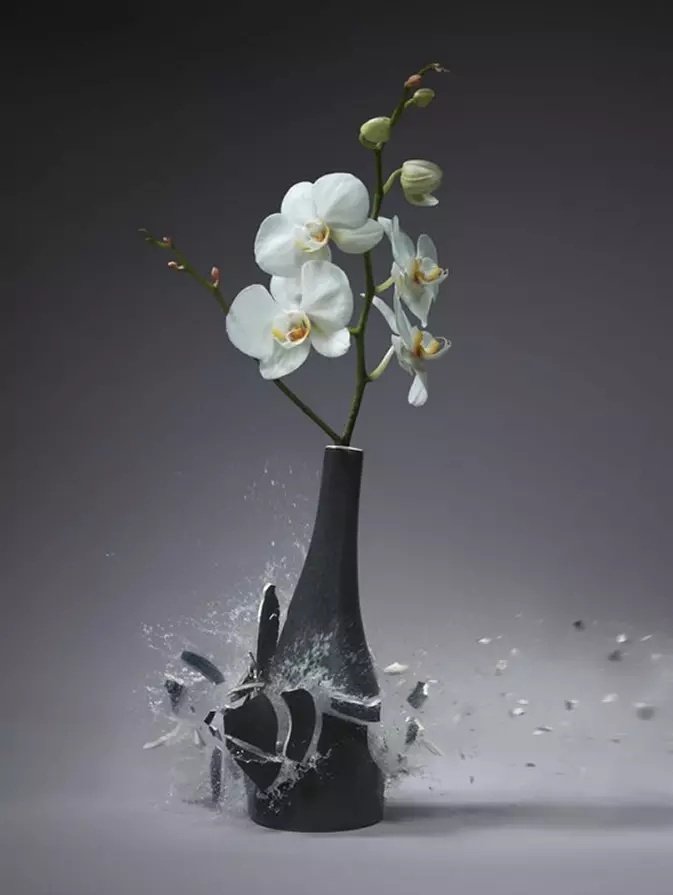 破裂的瞬间】摄影师 martin klimas 拍摄的一组花瓶破碎瞬间的作品